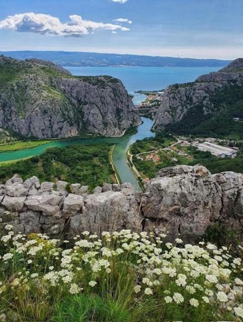 Apartment Ines Omiš Dış mekan fotoğraf