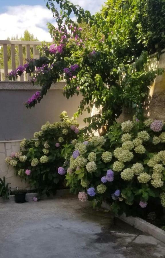 Apartment Ines Omiš Dış mekan fotoğraf